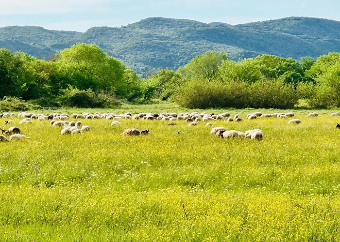 Livada Corfu * Giannades