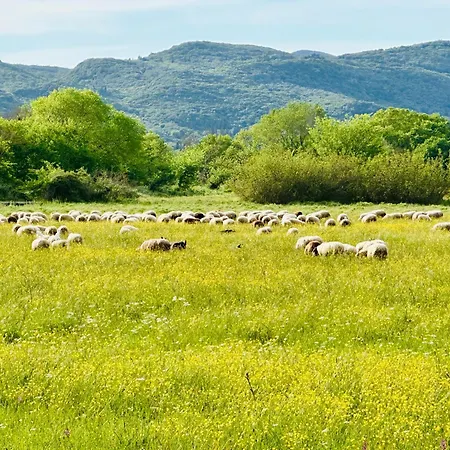 Livada Corfu * Γιαννάδες